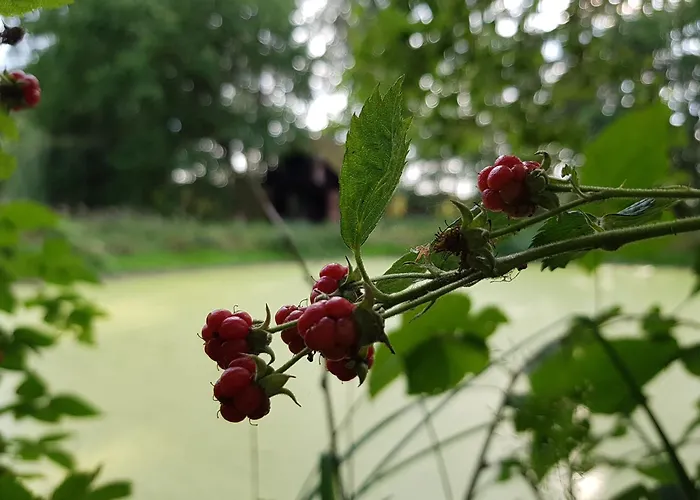 Neu! Alte Schule Jarnsen Klassenzimmer Apartament Lachendorf